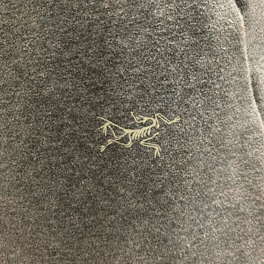 Arc’teryx Momenta Dress - Picture 4 of 7